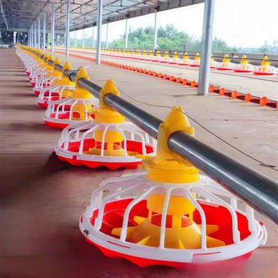 Îmbunătățesc liniile de adăpare pentru mameloane de carne comportamentul de a...